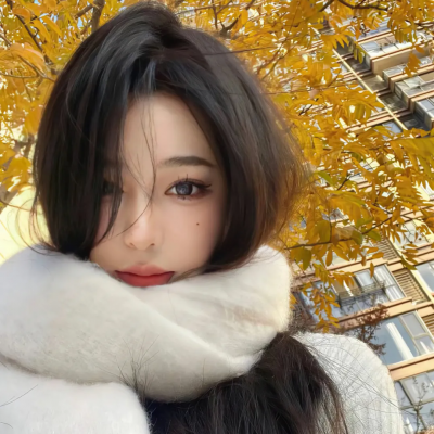 崖边的迎春花第一部